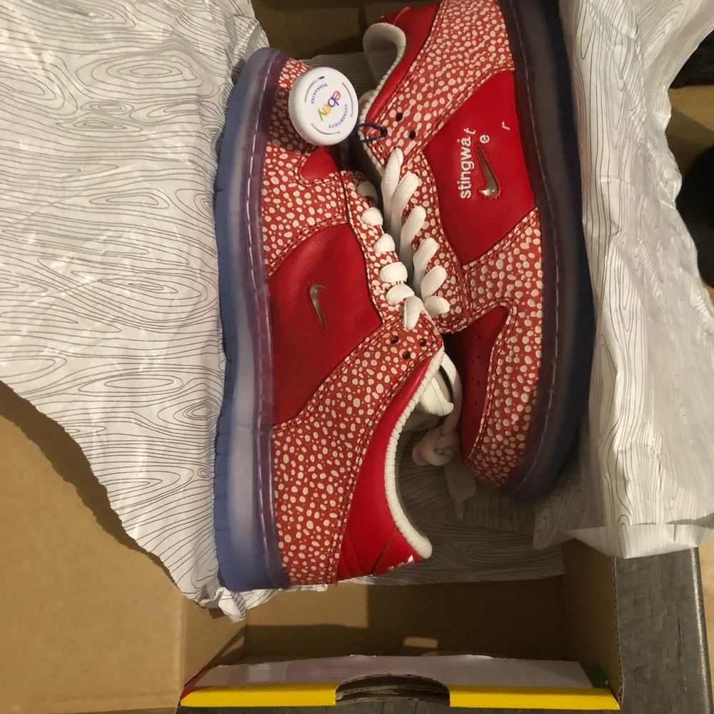 Nike SB Dunk Low x Stingwater Magic Mushroom